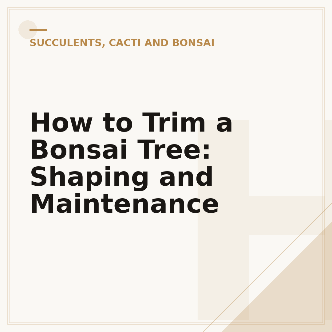 How to Trim a Bonsai Tree: Shaping and Maintenance