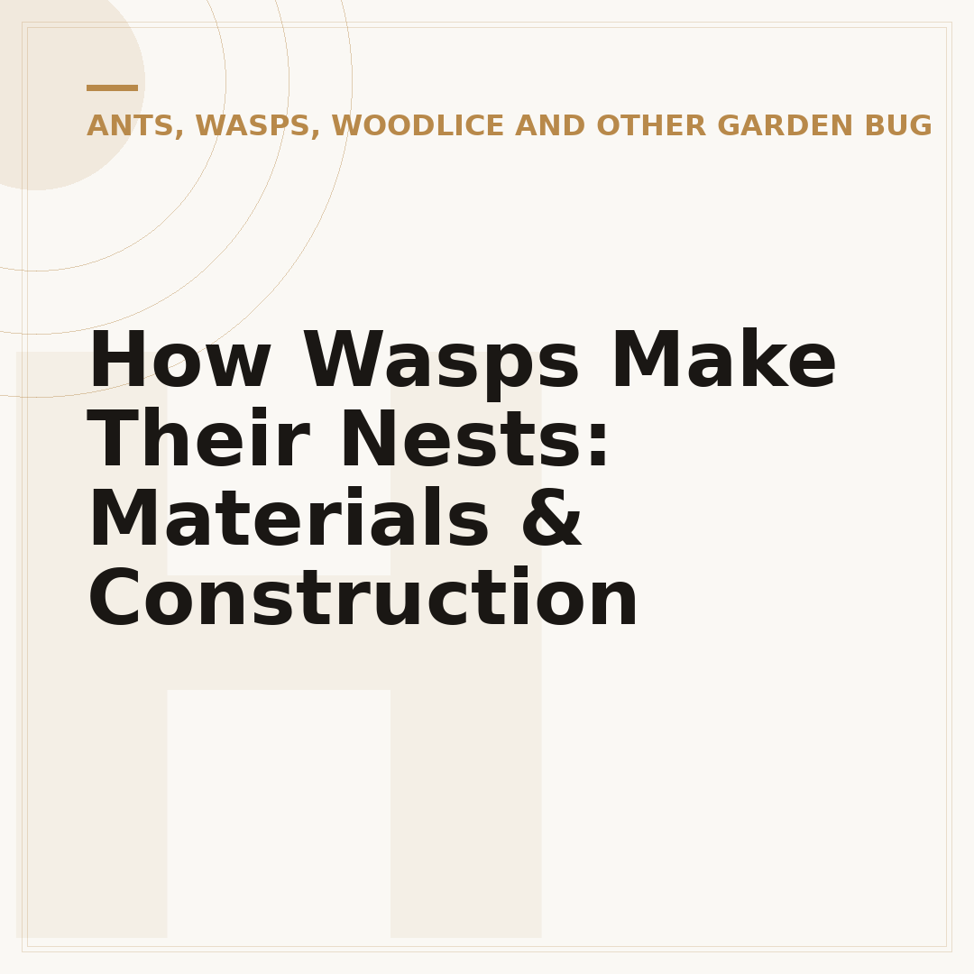 How Wasps Make Their Nests: Materials & Construction