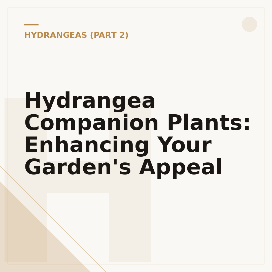 Hydrangea Companion Plants: Enhancing Your Garden's Appeal
