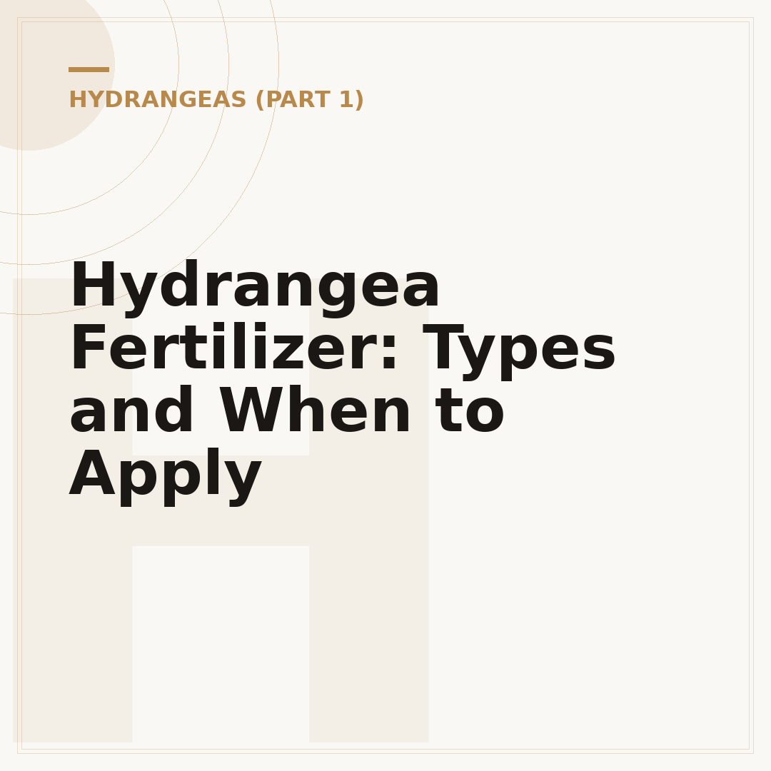 Hydrangea Fertilizer: Types and When to Apply