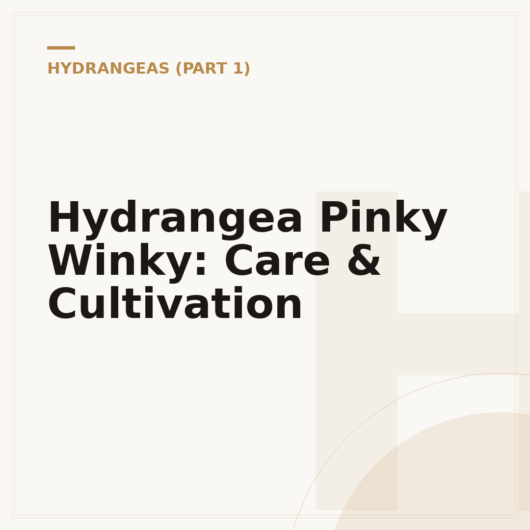 Hydrangea Pinky Winky: Care & Cultivation