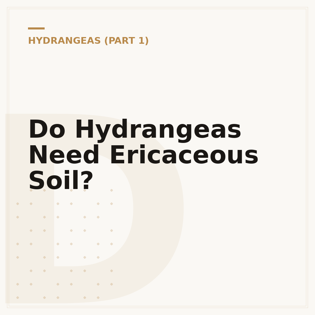 Do Hydrangeas Need Ericaceous Soil?