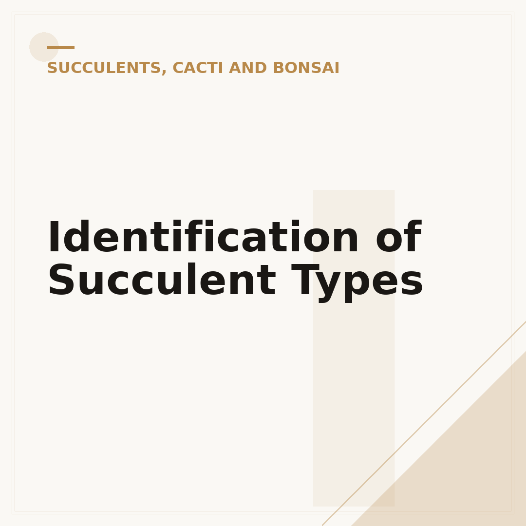 Identification of Succulent Types