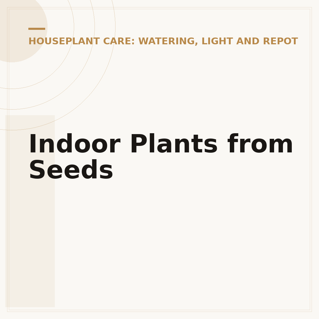 Indoor Plants from Seeds