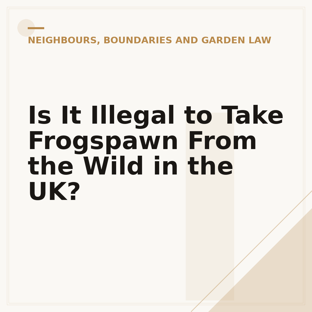 Is It Illegal to Take Frogspawn From the Wild in the UK?