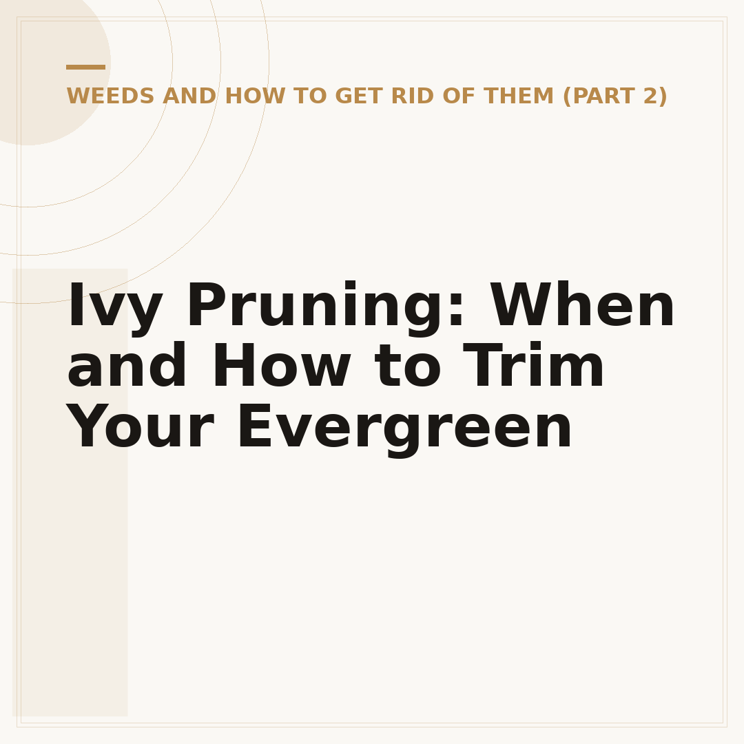 Ivy Pruning: When and How to Trim Your Evergreen