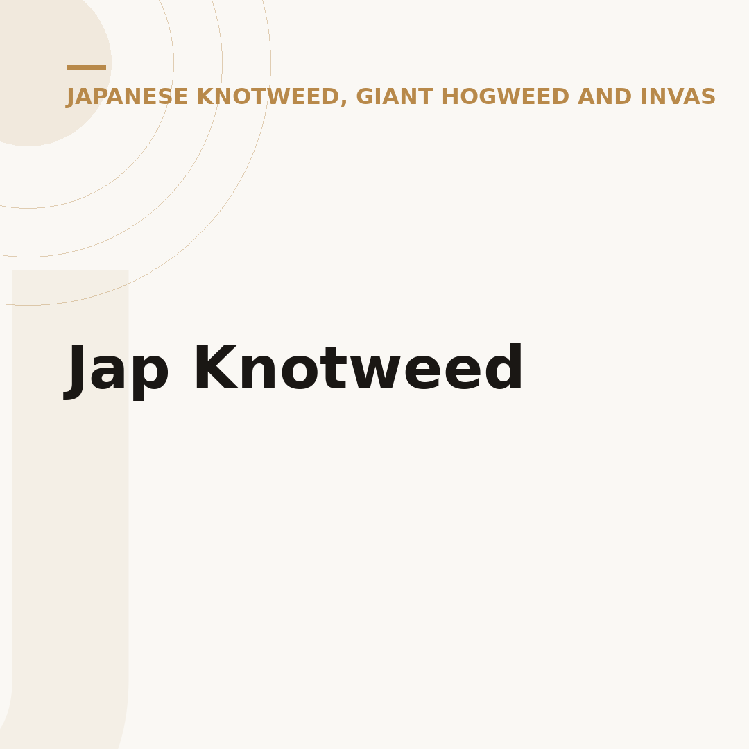 Jap Knotweed