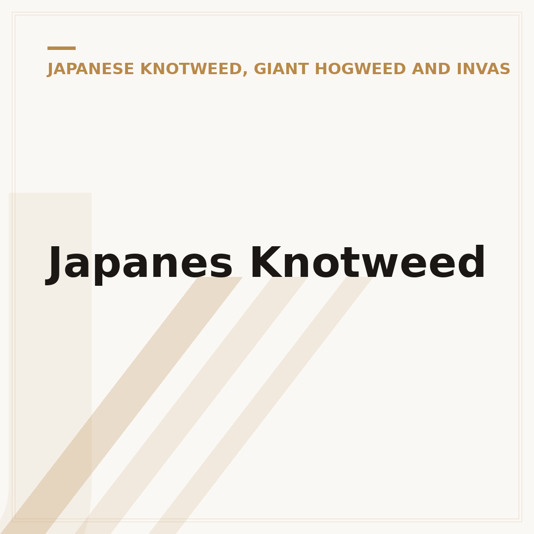 Japanes Knotweed