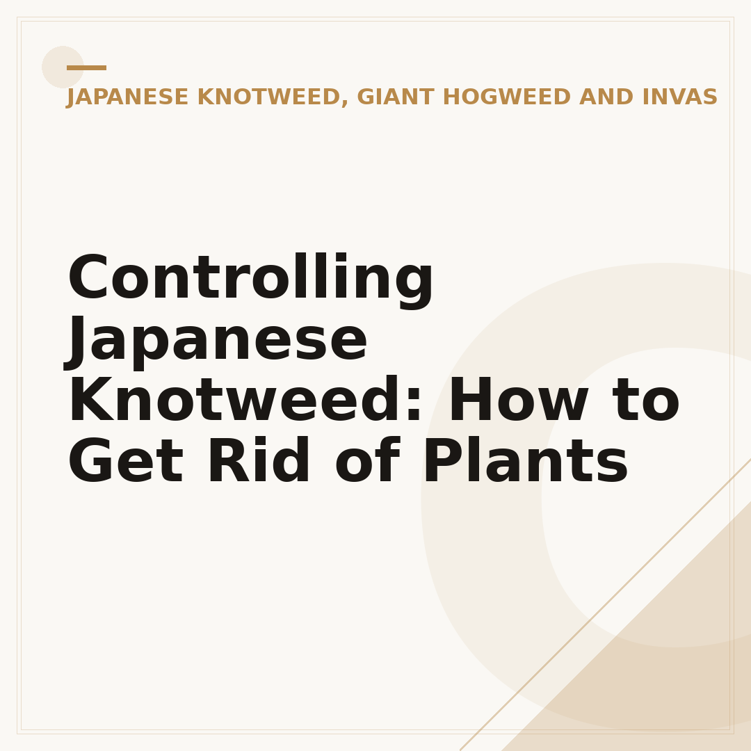 Controlling Japanese Knotweed: How to Get Rid of Plants