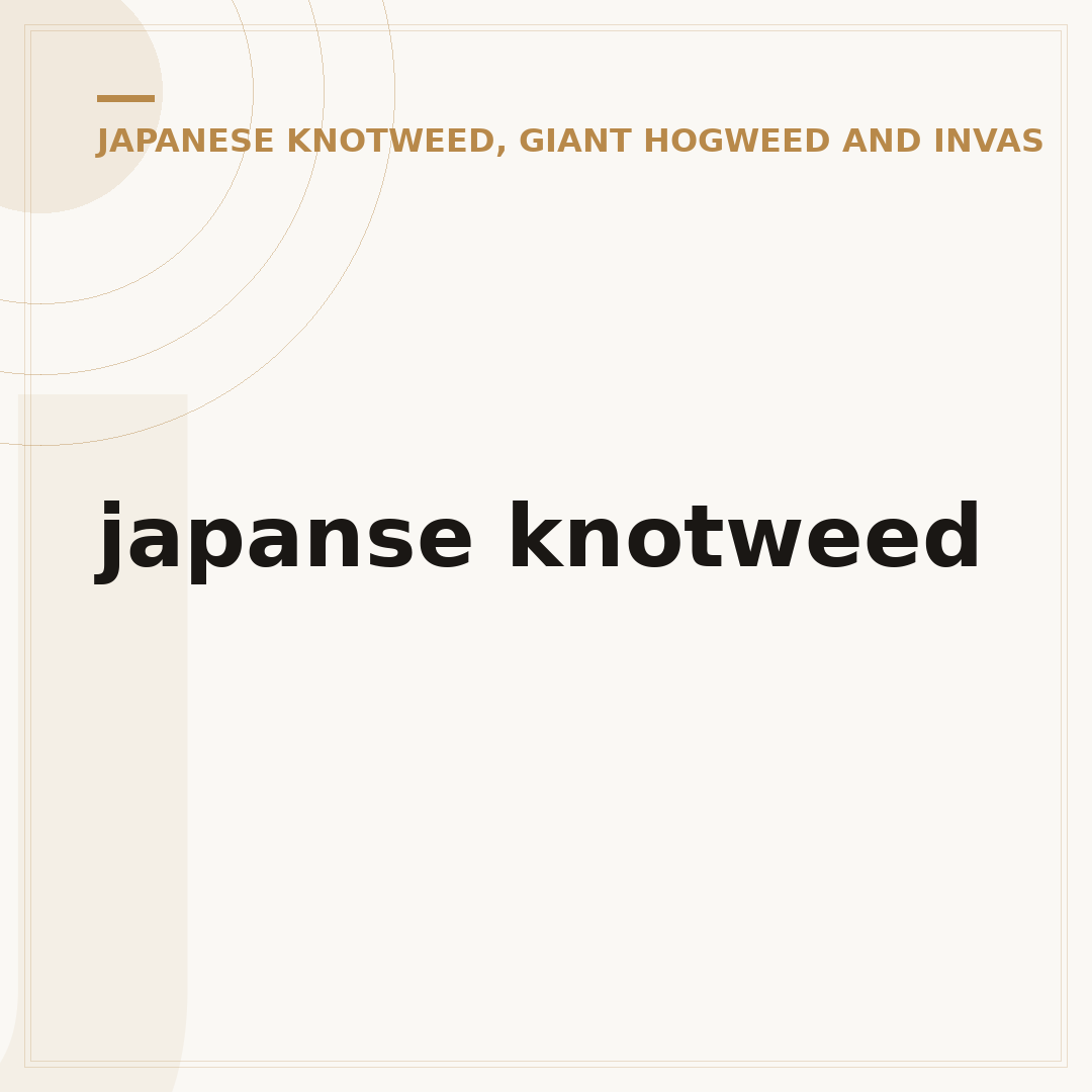japanse knotweed