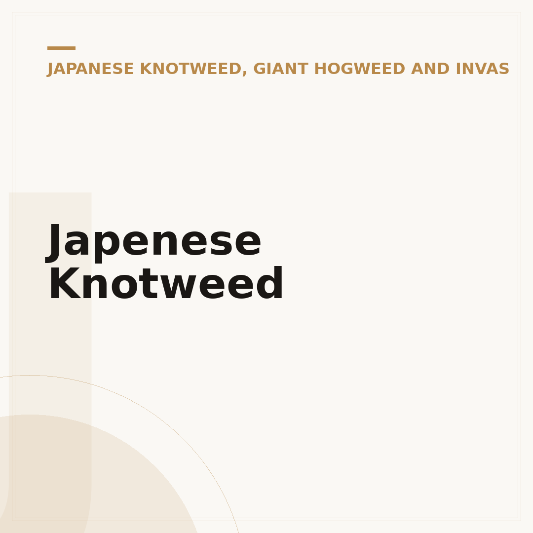 Japenese Knotweed