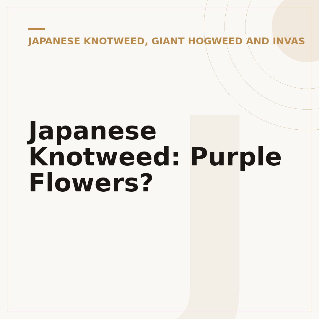 Japanese Knotweed: Purple Flowers?