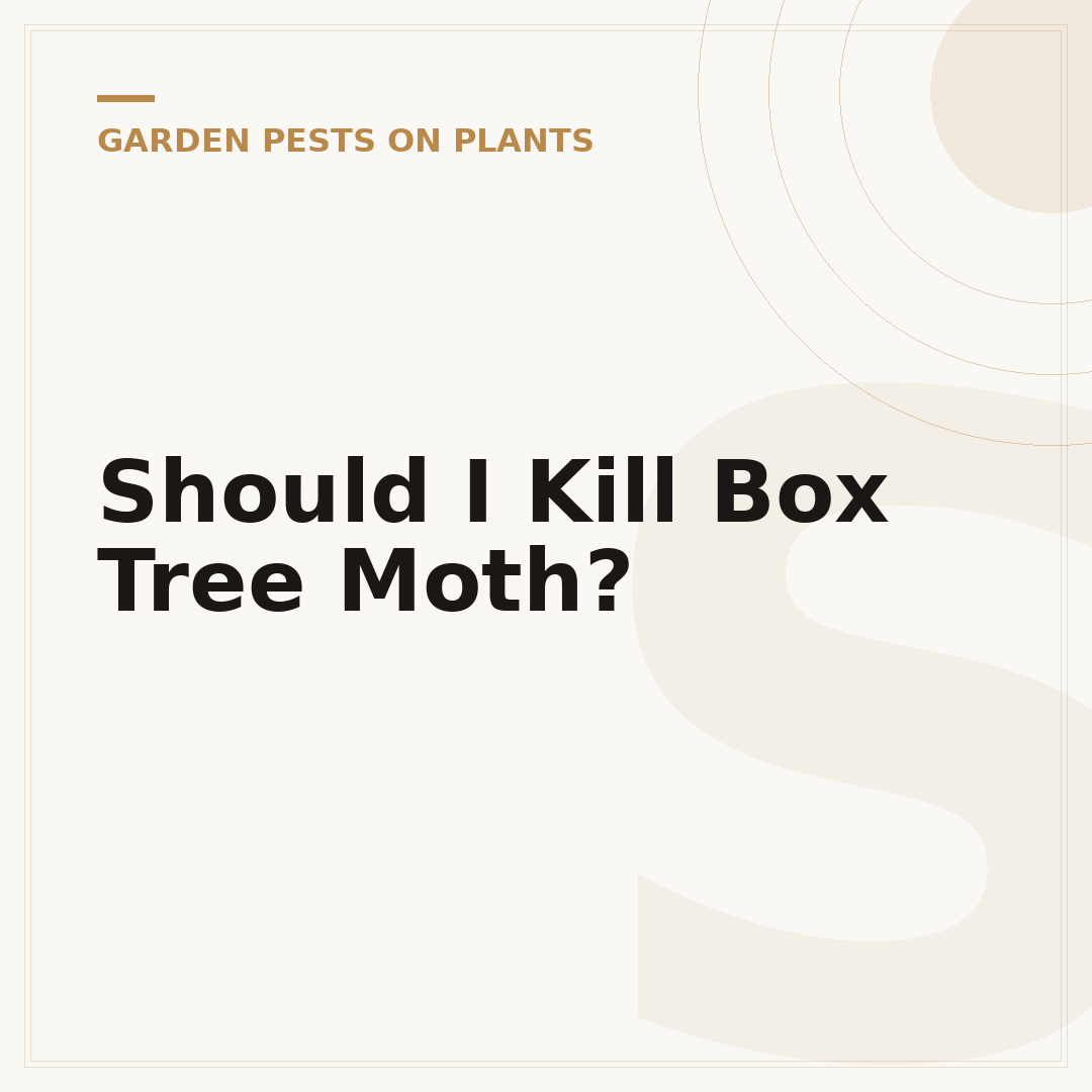 Should I Kill Box Tree Moth?