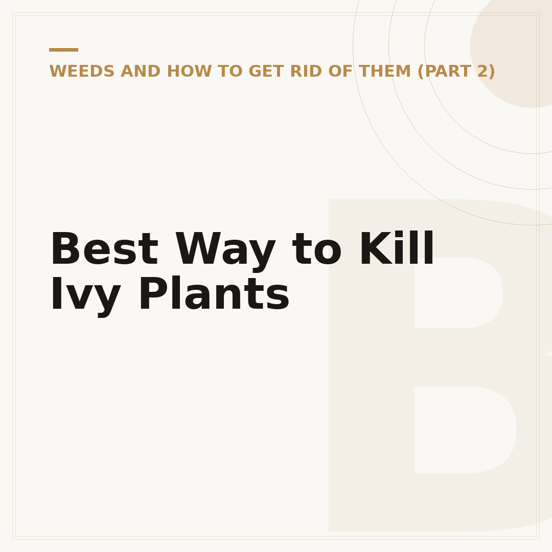 Best Way to Kill Ivy Plants