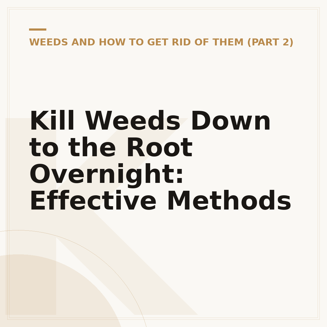 Kill Weeds Down to the Root Overnight: Effective Methods