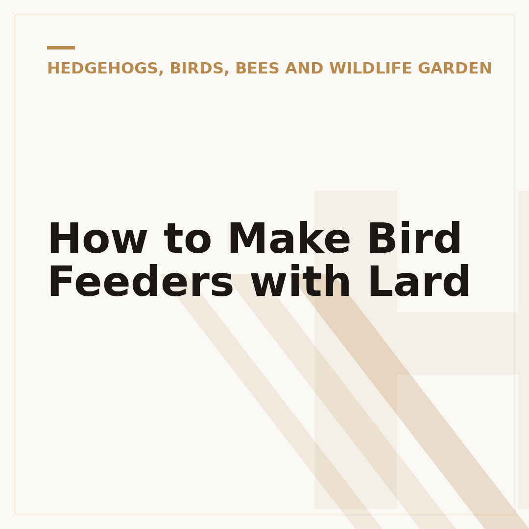 How to Make Bird Feeders with Lard