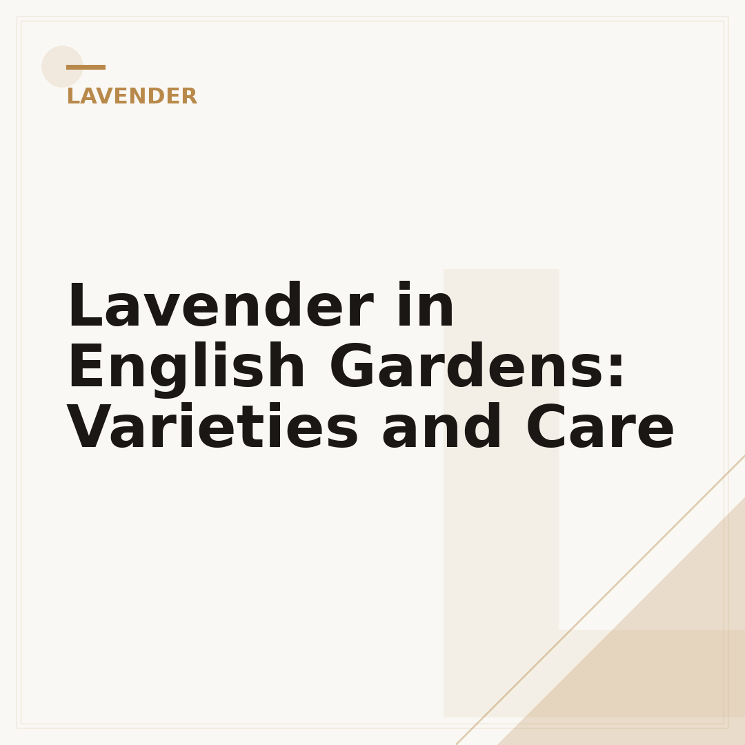 Lavender in English Gardens: Varieties and Care