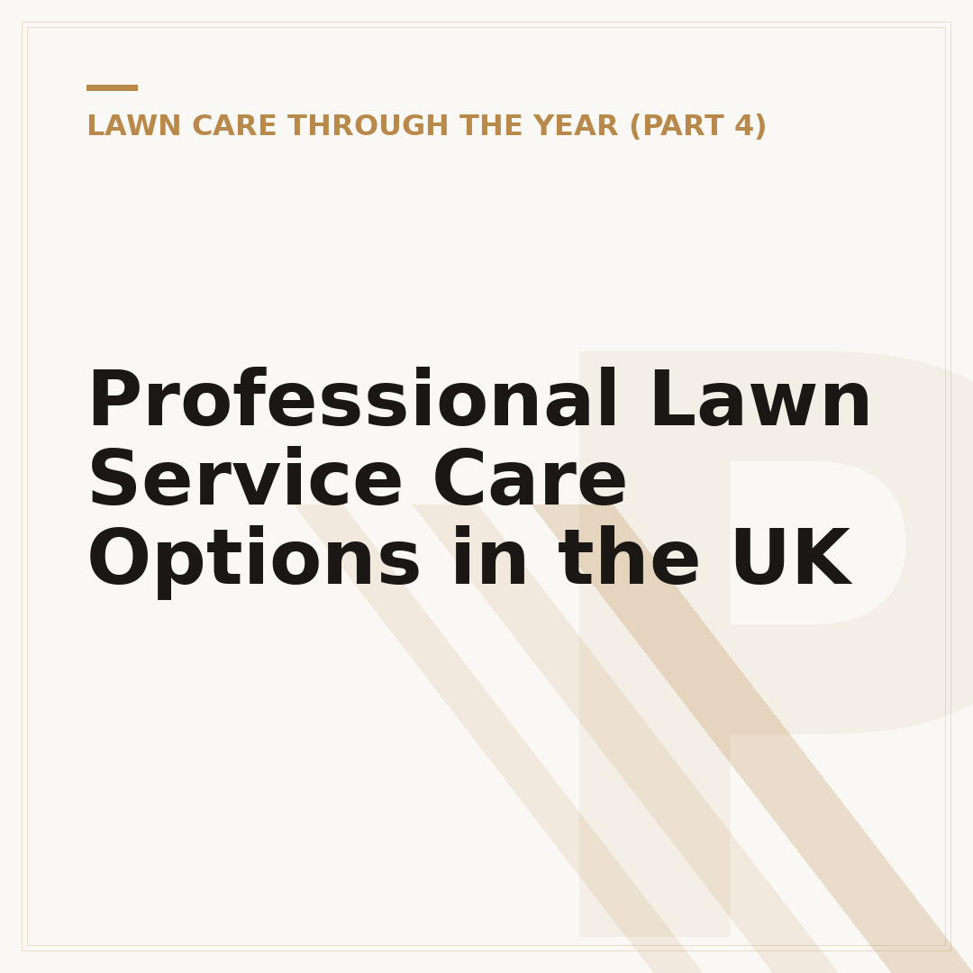 Professional Lawn Service Care Options in the UK