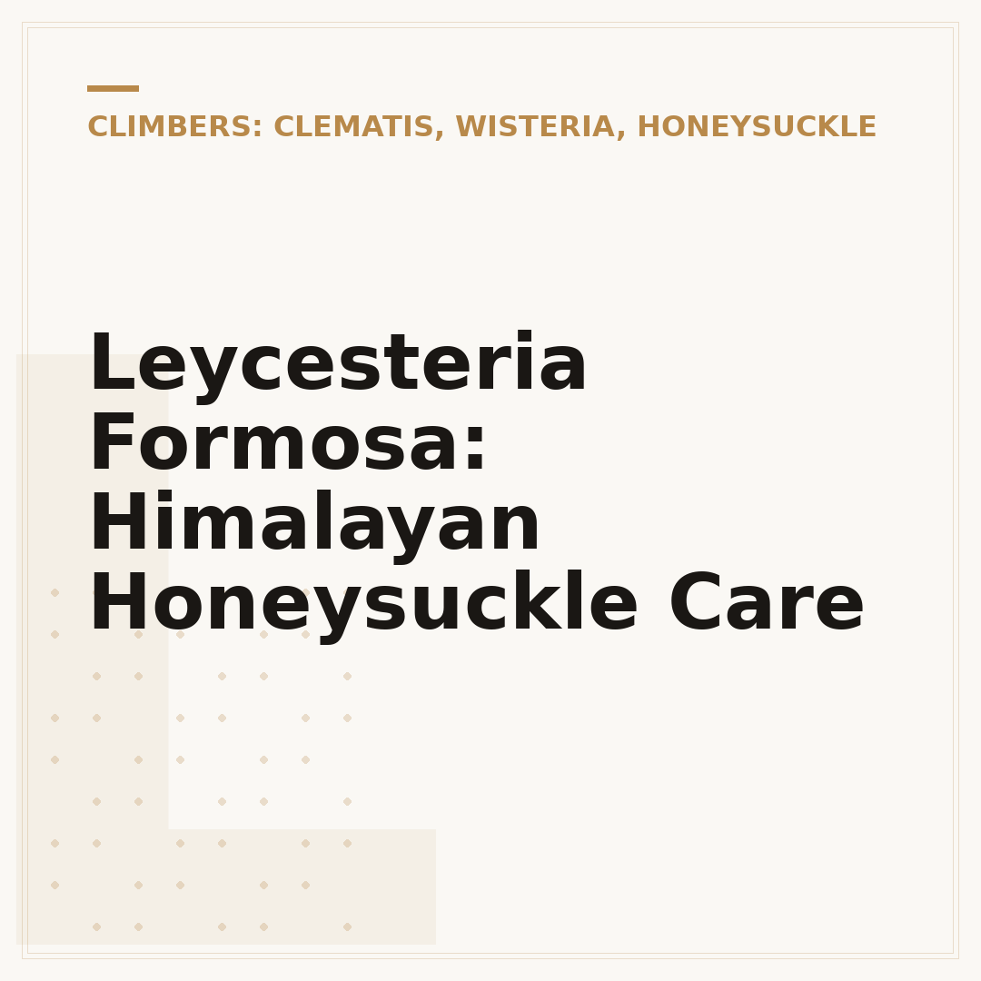 Leycesteria Formosa: Himalayan Honeysuckle Care