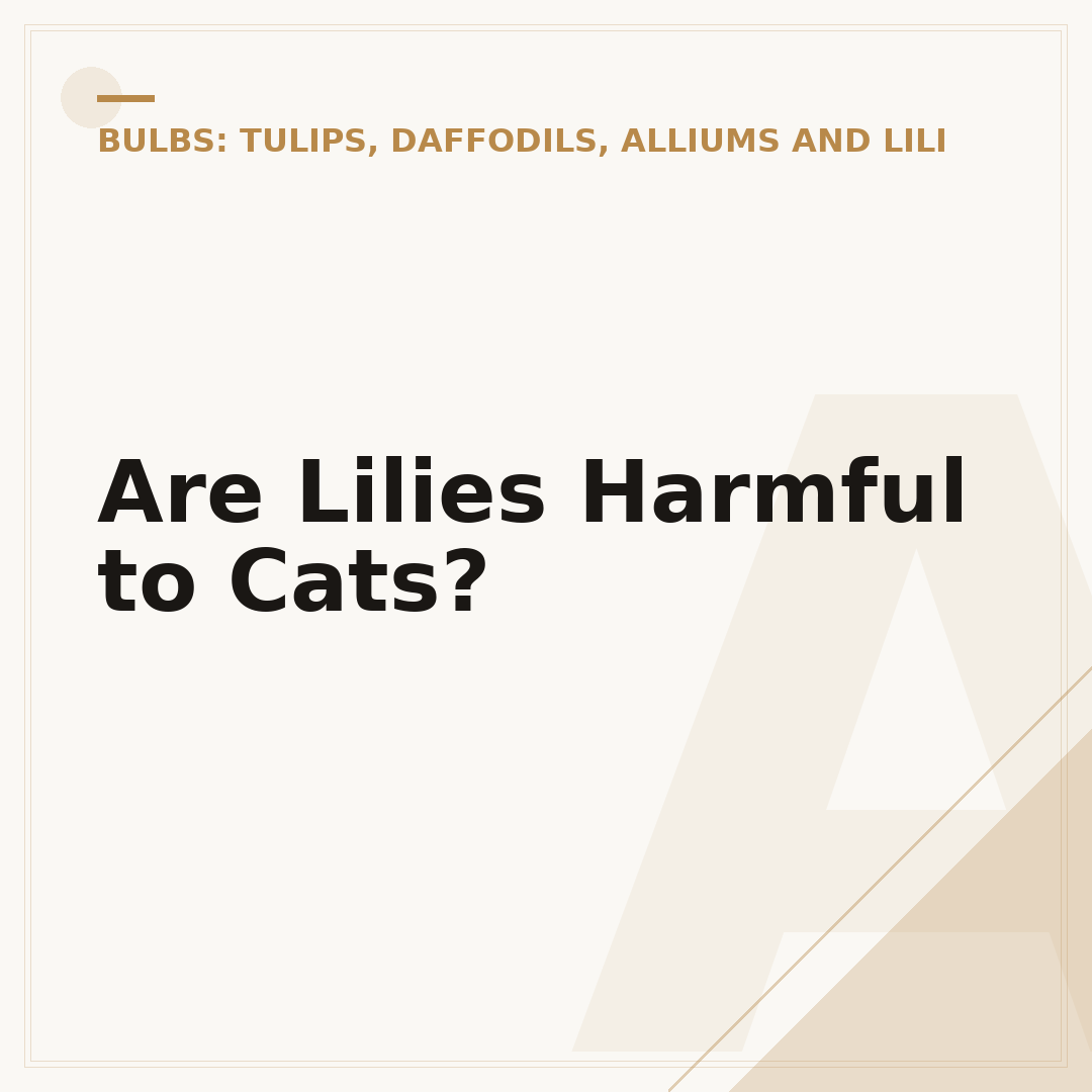 Are Lilies Harmful to Cats?