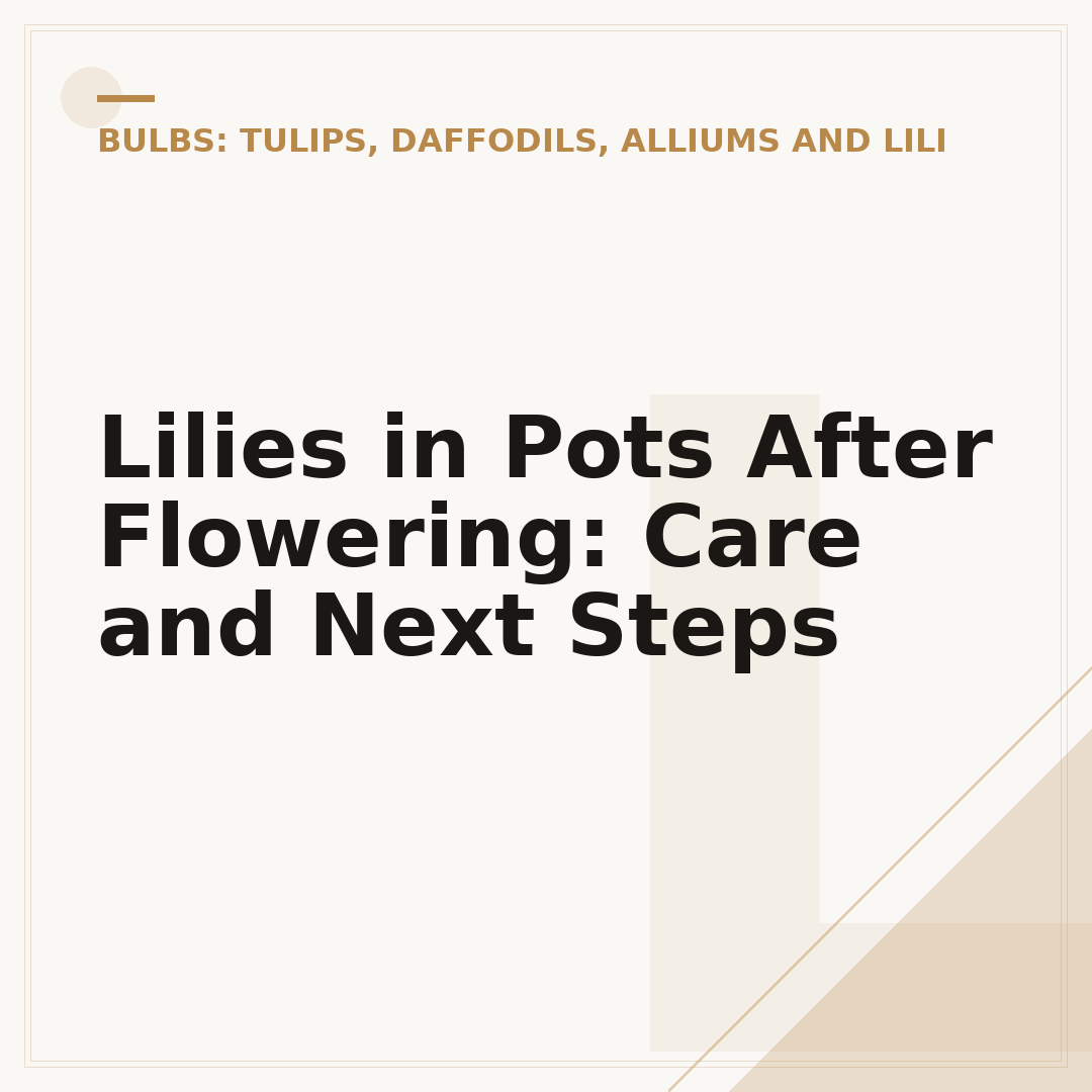 Lilies in Pots After Flowering: Care and Next Steps