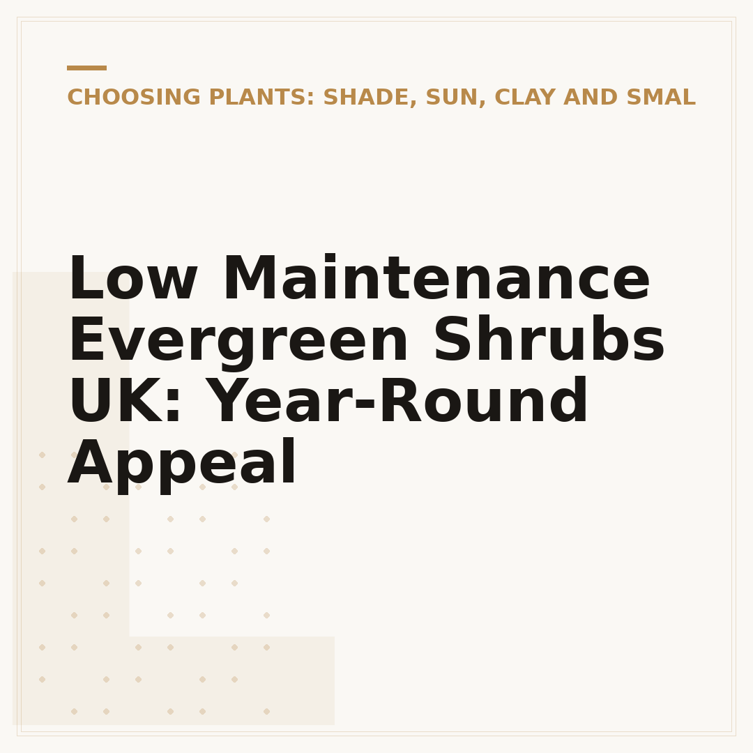 Low Maintenance Evergreen Shrubs UK: Year-Round Appeal