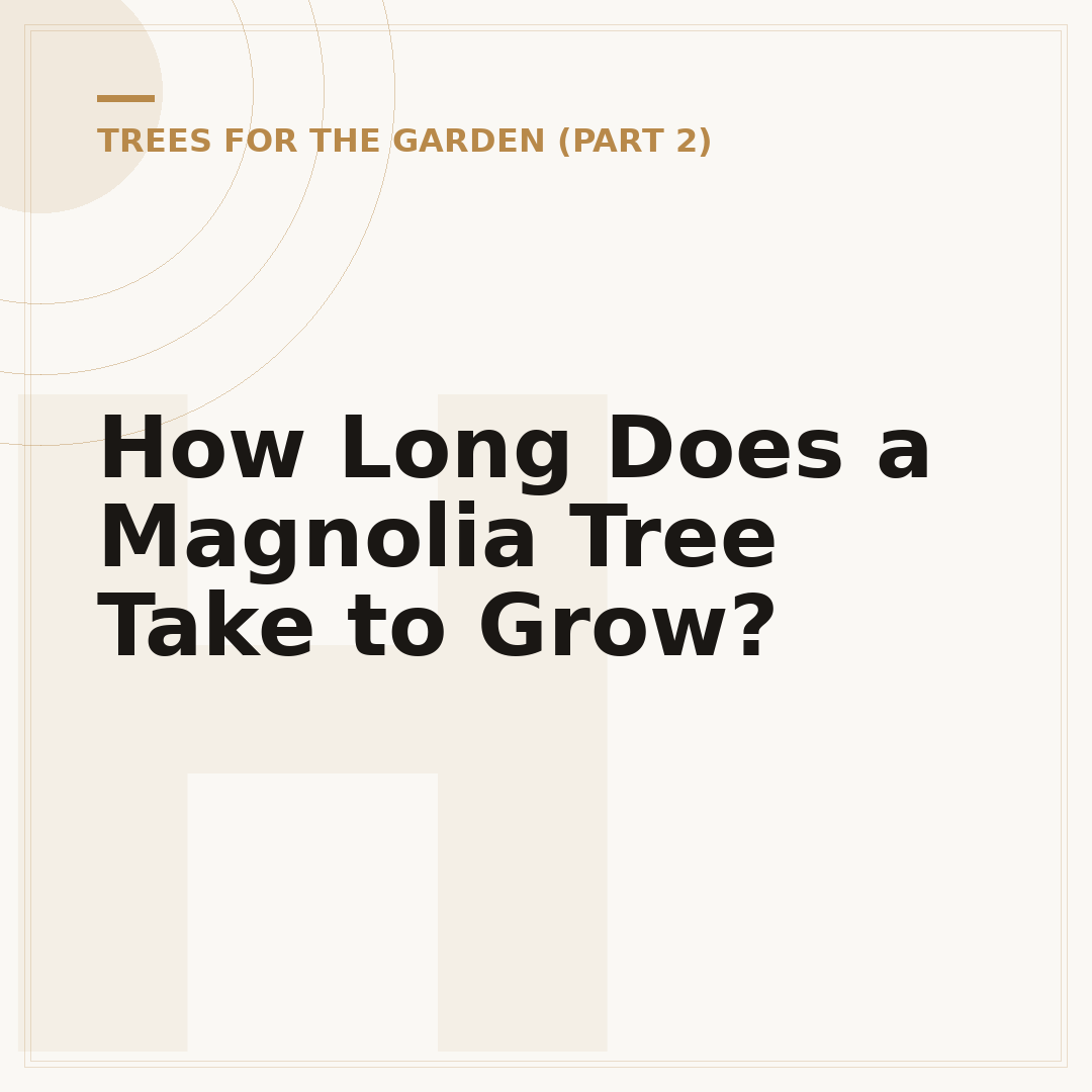 How Long Does a Magnolia Tree Take to Grow?