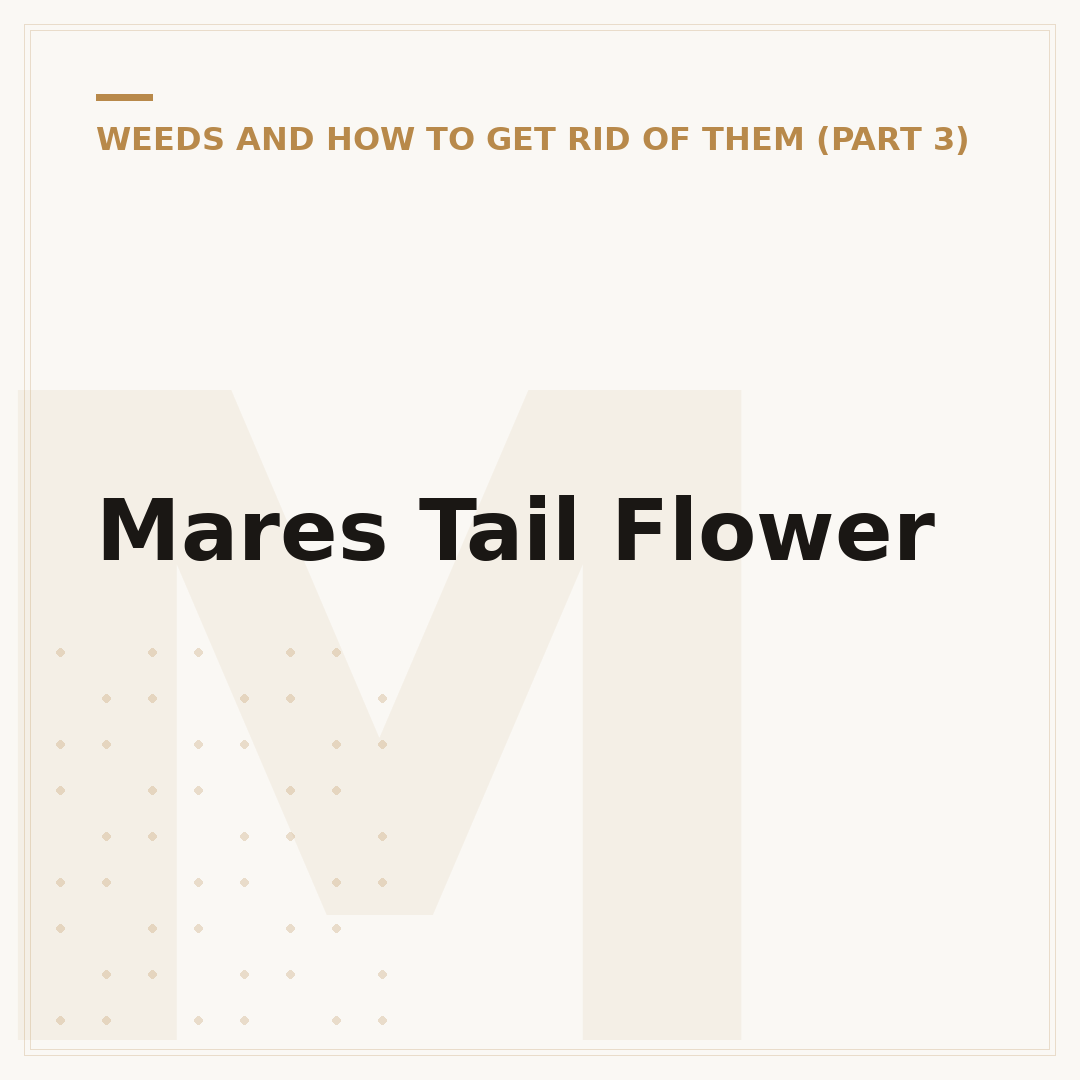 Mares Tail Flower