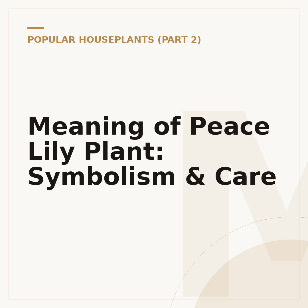 Meaning of Peace Lily Plant: Symbolism & Care