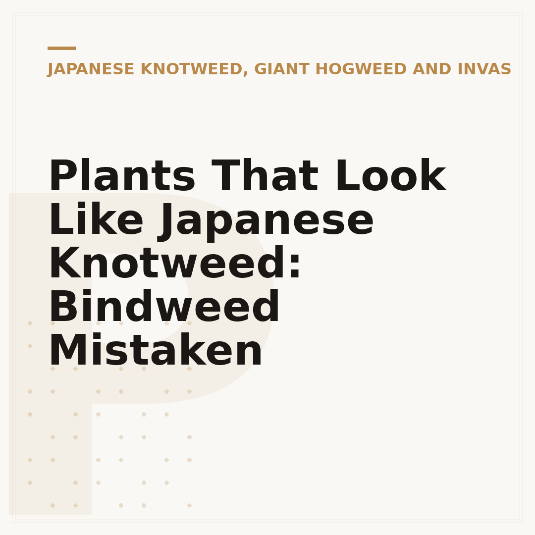Plants That Look Like Japanese Knotweed: Bindweed Mistaken
