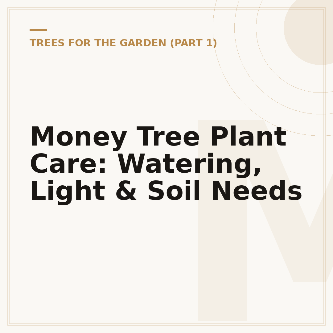 Money Tree Plant Care: Watering, Light & Soil Needs