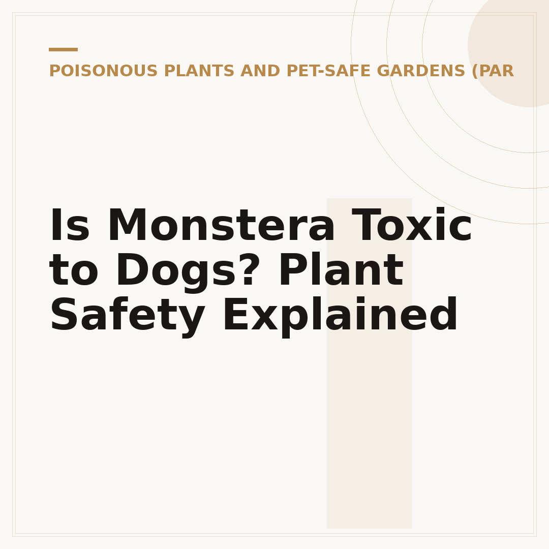 Is Monstera Toxic to Dogs? Plant Safety Explained