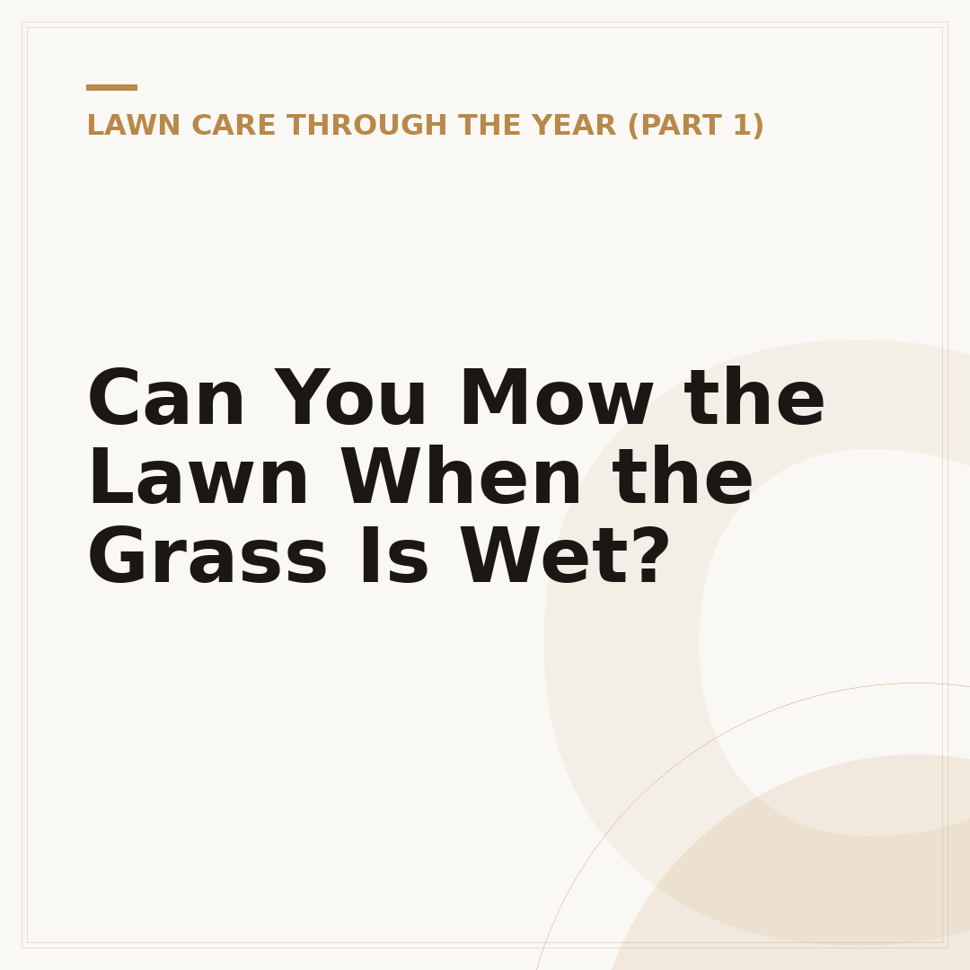 Can You Mow the Lawn When the Grass Is Wet?