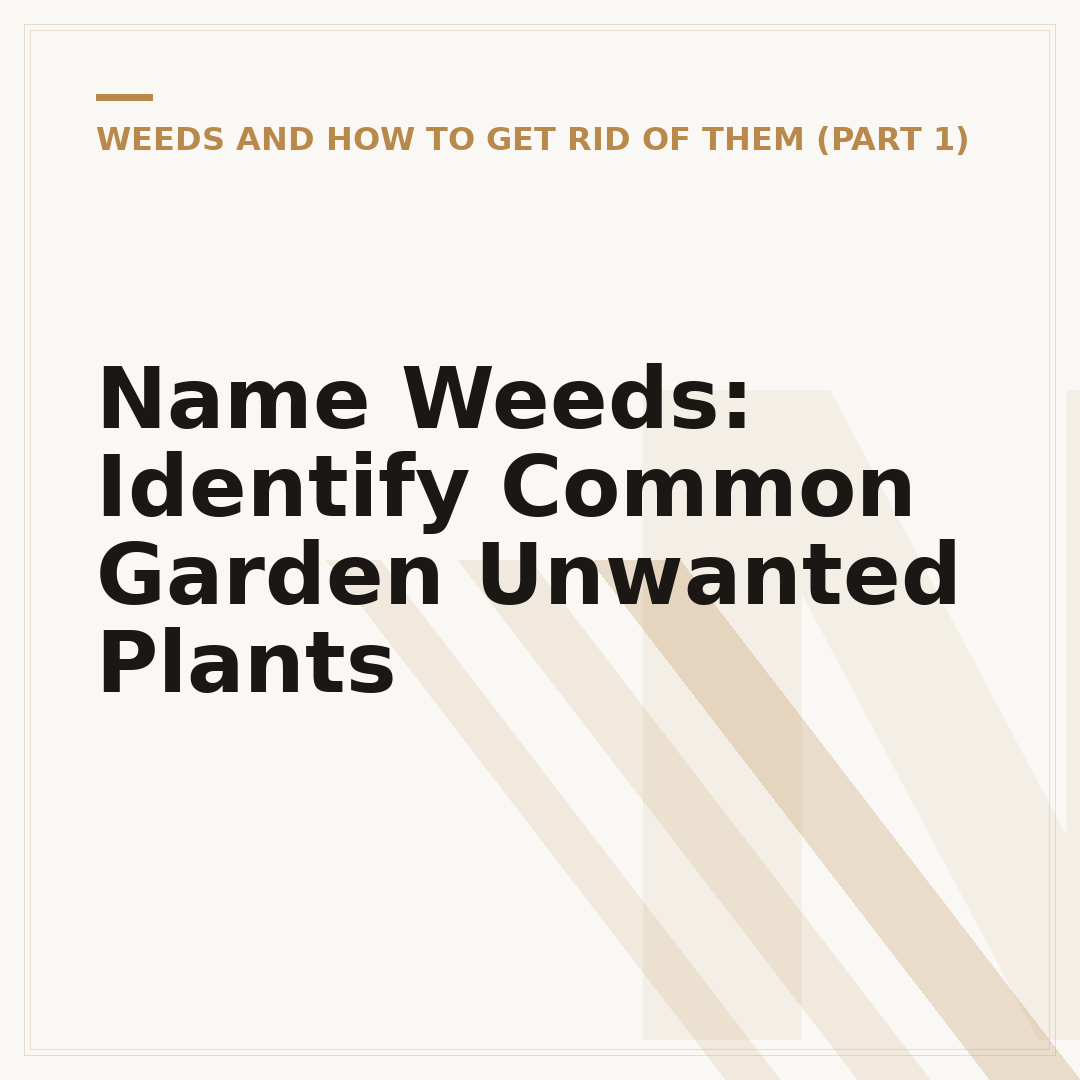 Name Weeds: Identify Common Garden Unwanted Plants