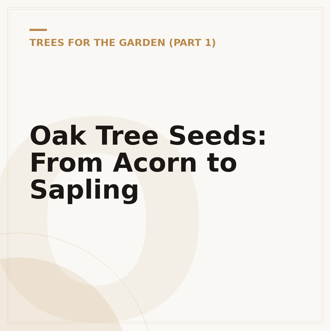 Oak Tree Seeds: From Acorn to Sapling