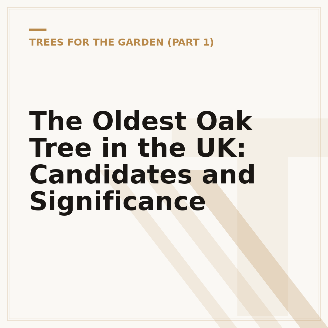 The Oldest Oak Tree in the UK: Candidates and Significance