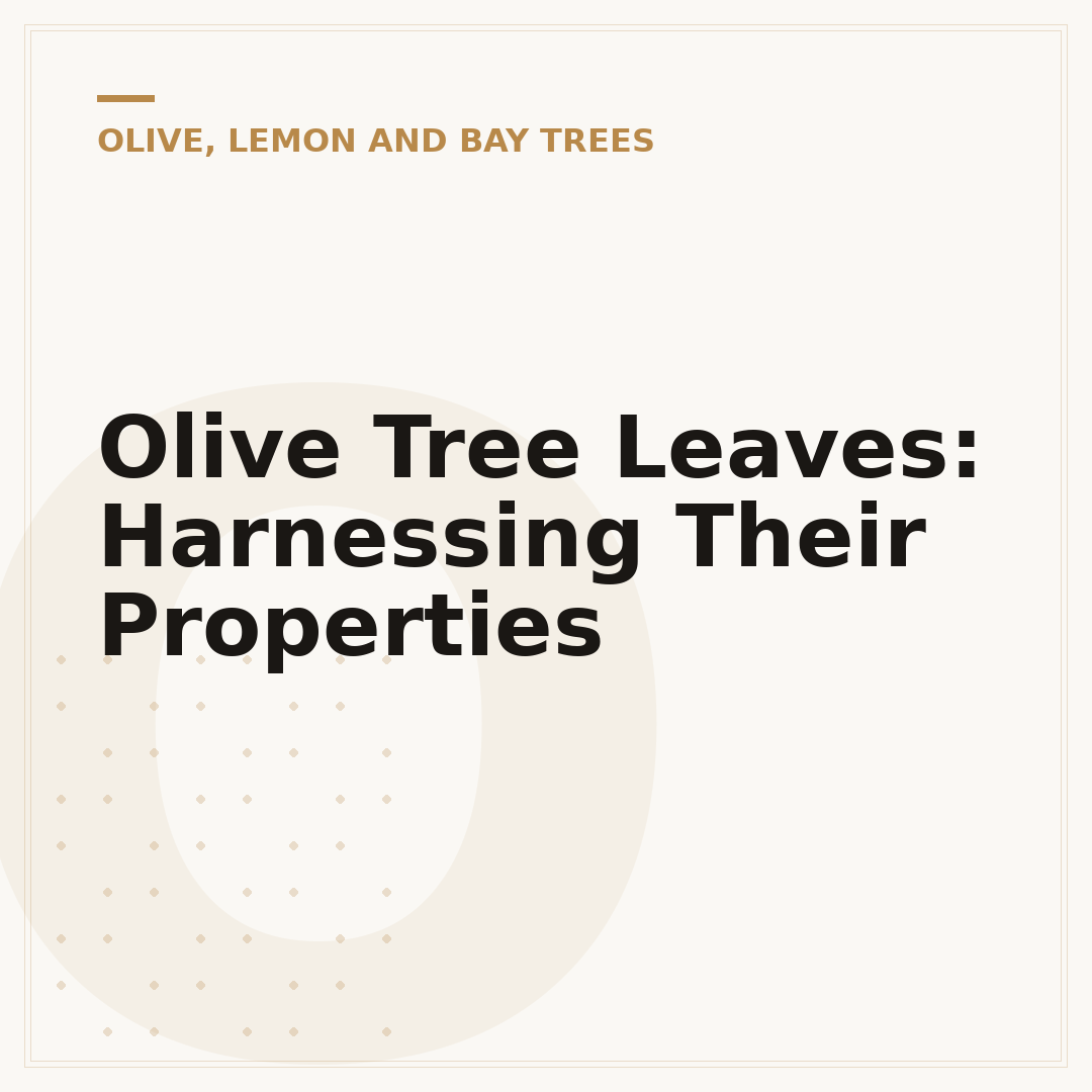Olive Tree Leaves: Harnessing Their Properties