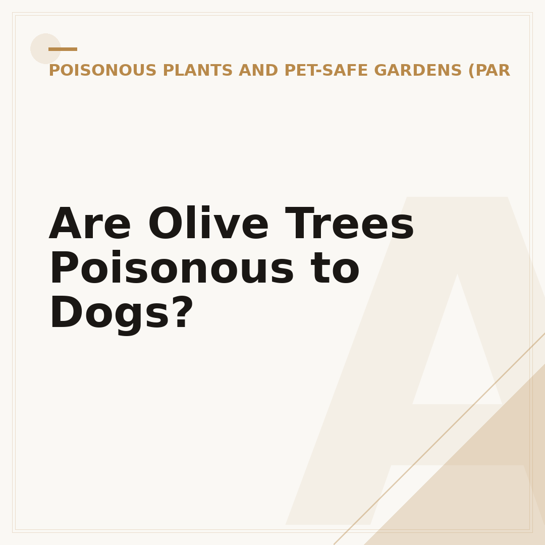 Are Olive Trees Poisonous to Dogs?
