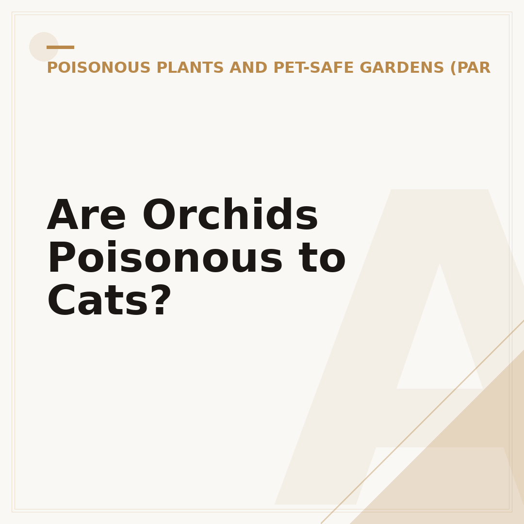 Are Orchids Poisonous to Cats?