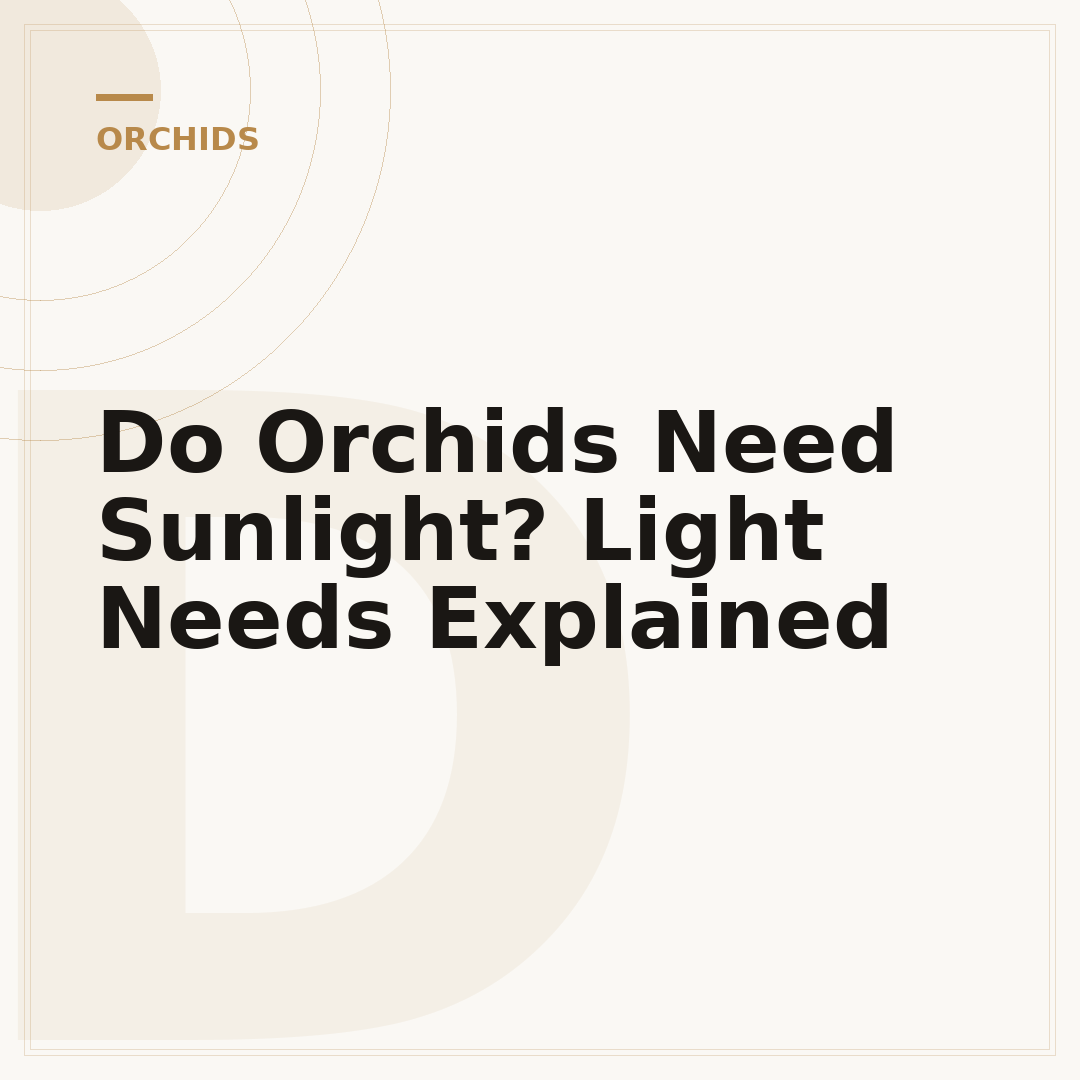 Do Orchids Need Sunlight? Light Needs Explained