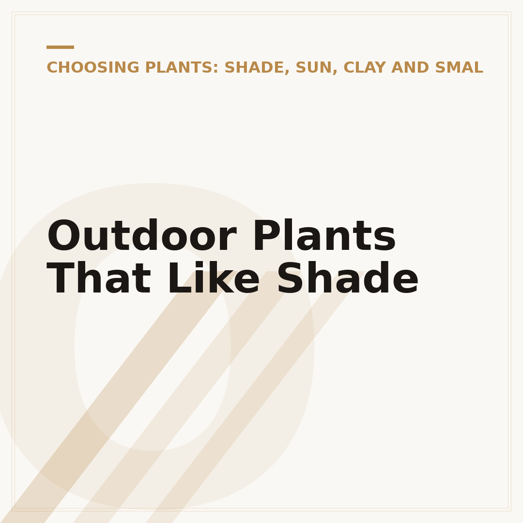 Outdoor Plants That Like Shade