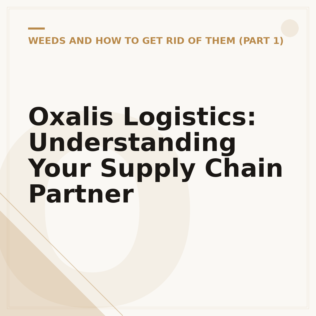 Oxalis Logistics: Understanding Your Supply Chain Partner