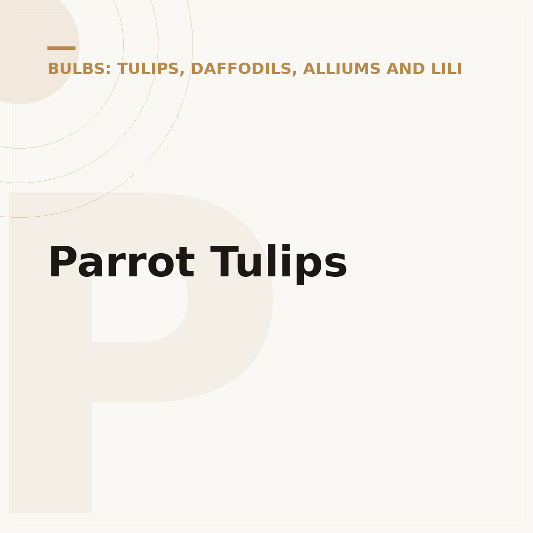 Parrot Tulips