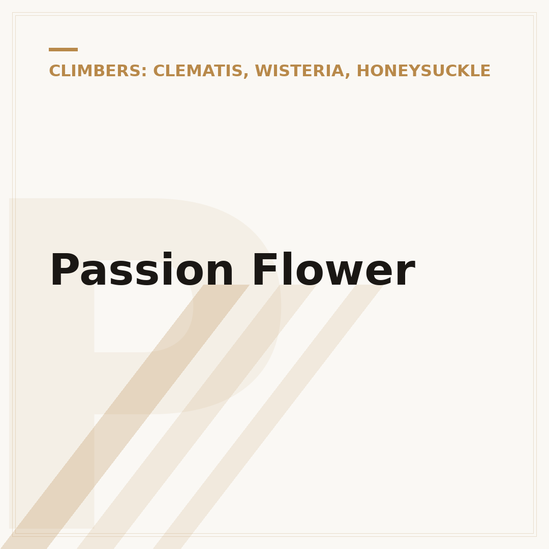 Passion Flower