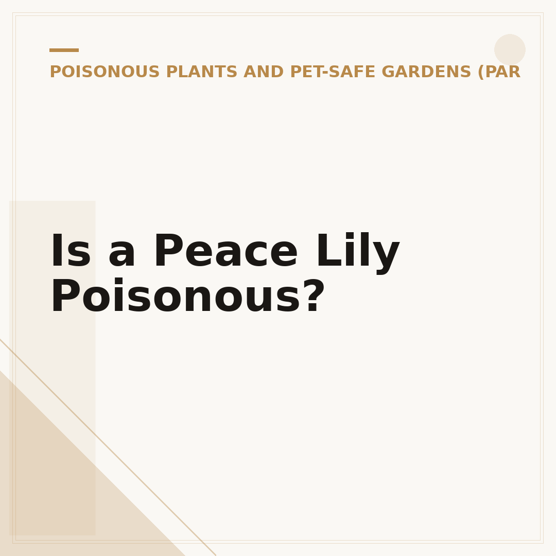 Is a Peace Lily Poisonous?