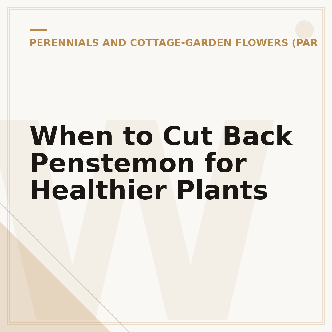 When to Cut Back Penstemon for Healthier Plants