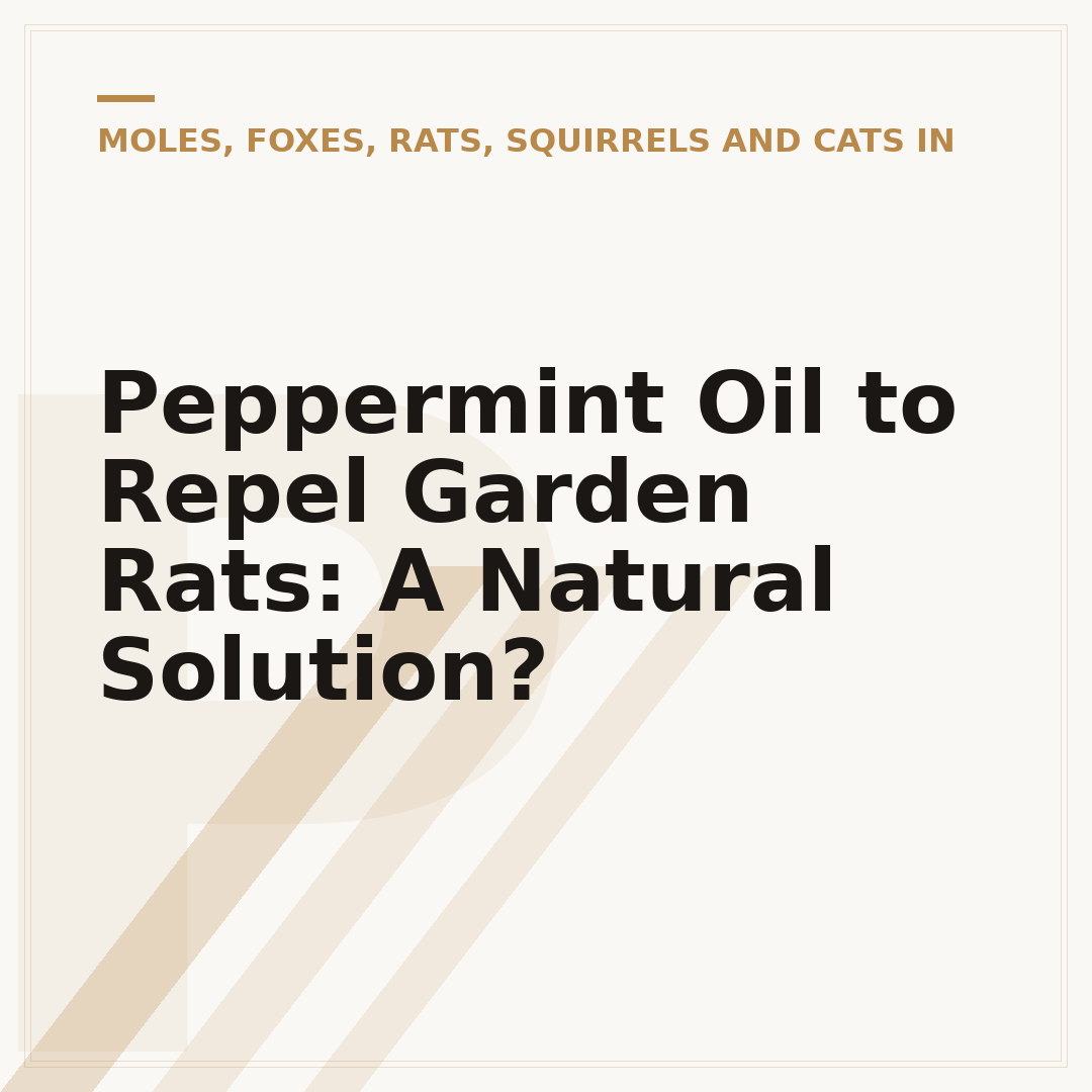 Peppermint Oil to Repel Garden Rats: A Natural Solution?