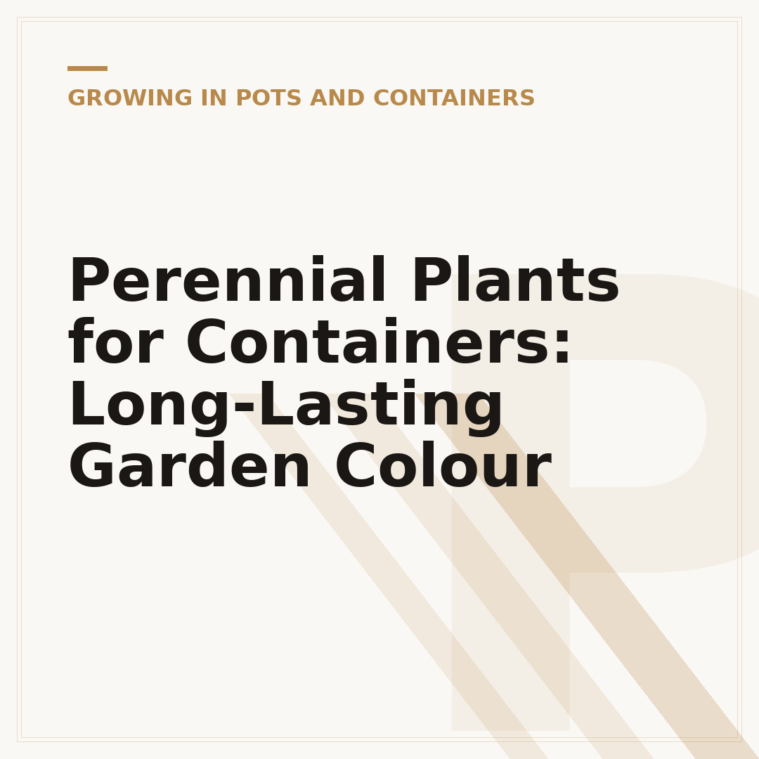 Perennial Plants for Containers: Long-Lasting Garden Colour