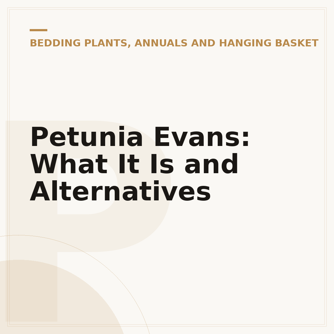Petunia Evans: What It Is and Alternatives