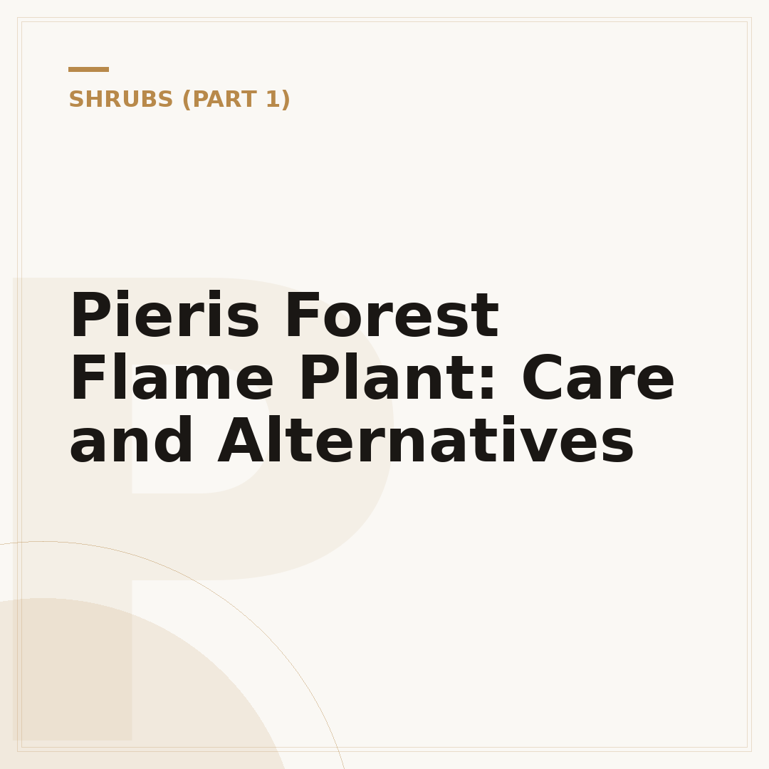 Pieris Forest Flame Plant: Care and Alternatives